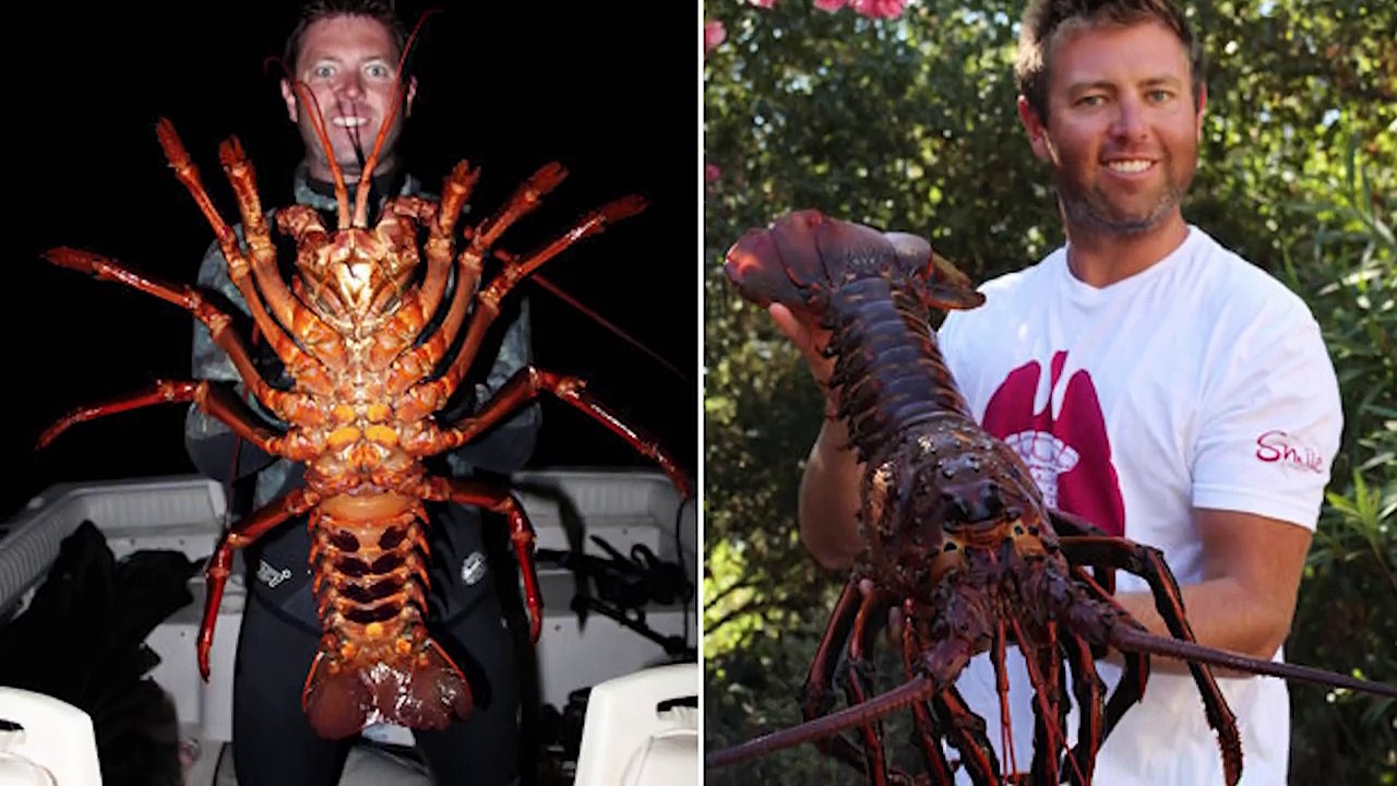 15 BIGGEST Animals You Wont Believe EXIST!