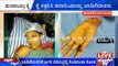 Tenants Cut Off Woman's Hand After Quarrel In Bengaluru