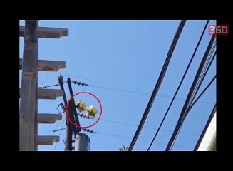 Pse duhet ti mbajme larg tullumbacet nga telat elektrike (360video)