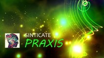 Sinticate - Praxis