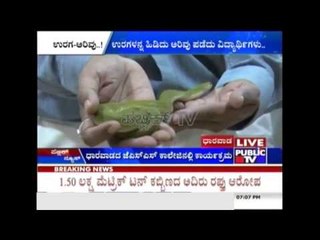 World Snake Day: Awareness Programme Held In Dharwad
