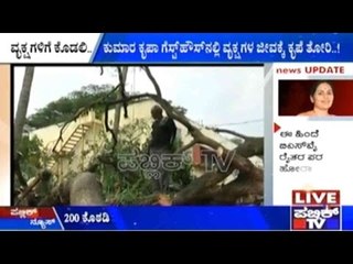 More Than 30 Trees Cut Down At Kumara Krupa