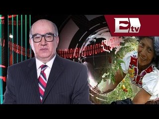 Estrategias y promesas en el campo Mexicano. Segunda Parte / Un día con Ángel