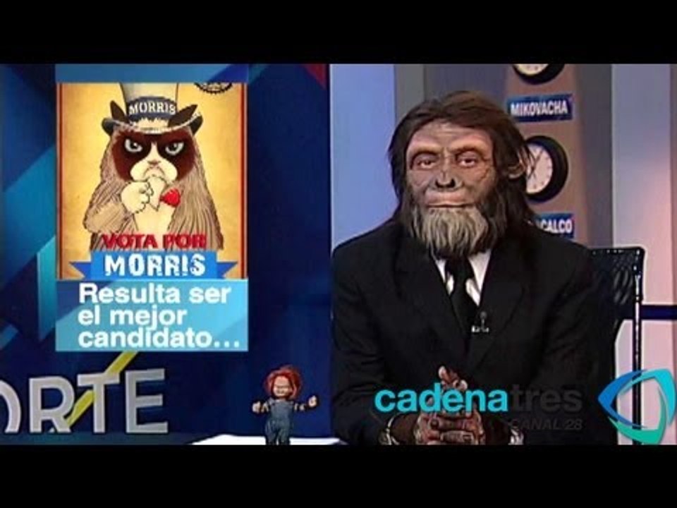 Gato para alcalde de Xalapa, venta de pruebas Enlace y Guardería ABC en Mikorte Informativo 09/06/13