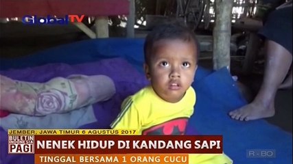 Скачать видео: Ironis, Seorang Nenek Tinggal di Kandang Sapi