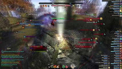 Stamina Dragonknight Solo PvP (Black Rose Build)