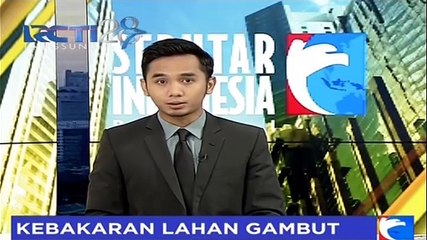 Download Video: 50 Hektar Lahan Gambut Ludes Terbakar di Sumatera Selatan