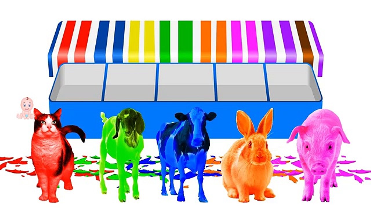 Learn_Colors_with_Animals_Color_Surprise_Eggs__7C_Learning_Animal_Names_and_Colors