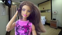 Dix D jeunes filles pour jouets dessin animé avec saison série ❀ vidéo poupées Barbie Ken Steffi 2