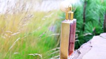 Top 10 Strong Colognes Long Lasting Perfumes