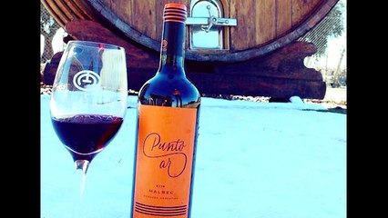 Vinos y Amigos Programa 166 Bloque 2