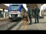 Torino - Controlli antidroga in stazioni ferroviarie, sequestrati 2,5 chili (02.08.17)