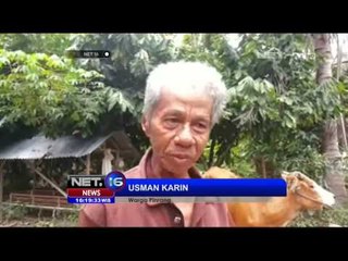 Waspada Antraks di Pinrang, Sulawesi Selatan - NET16