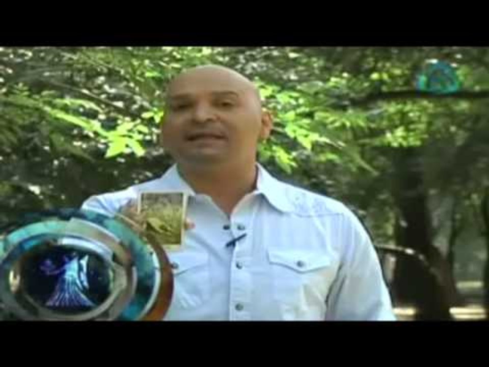 Predicciones para Virgo hoy 11 de marzo 2015 /...