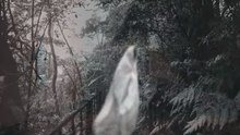 *|* New Eps Alien Abduction *|* The Lowe Files [Sea=1 Ep=2] Full Time.