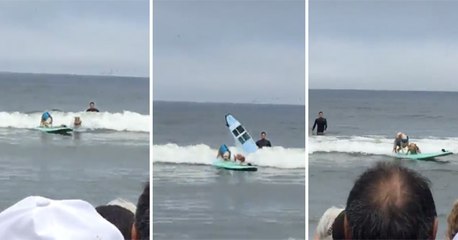 Surfing Dogs Collide And End Up On Same Board