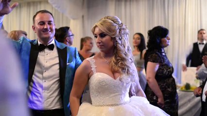 Vali Vijelie - Live Nunta  super melodie