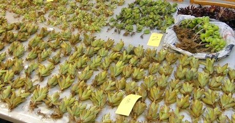 Mersin'de Gemiye Kokain Baskını! Tam 24 Milyon 537 Bin TL Değerinde