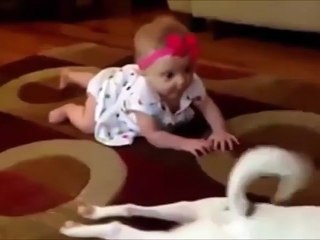 Funny Video for fun and laughter