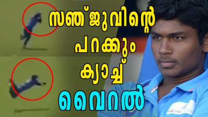 സഞ്ജുവിന്‍റെ പറക്കും ക്യാച്ച് വൈറല്‍ | Oneindia Malayalam
