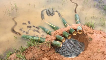 Amazing Fishing Trap in Cambodia 2017 -The first Trap Can Catch a lot of fish,Crabs,Eels By 5 Bambo