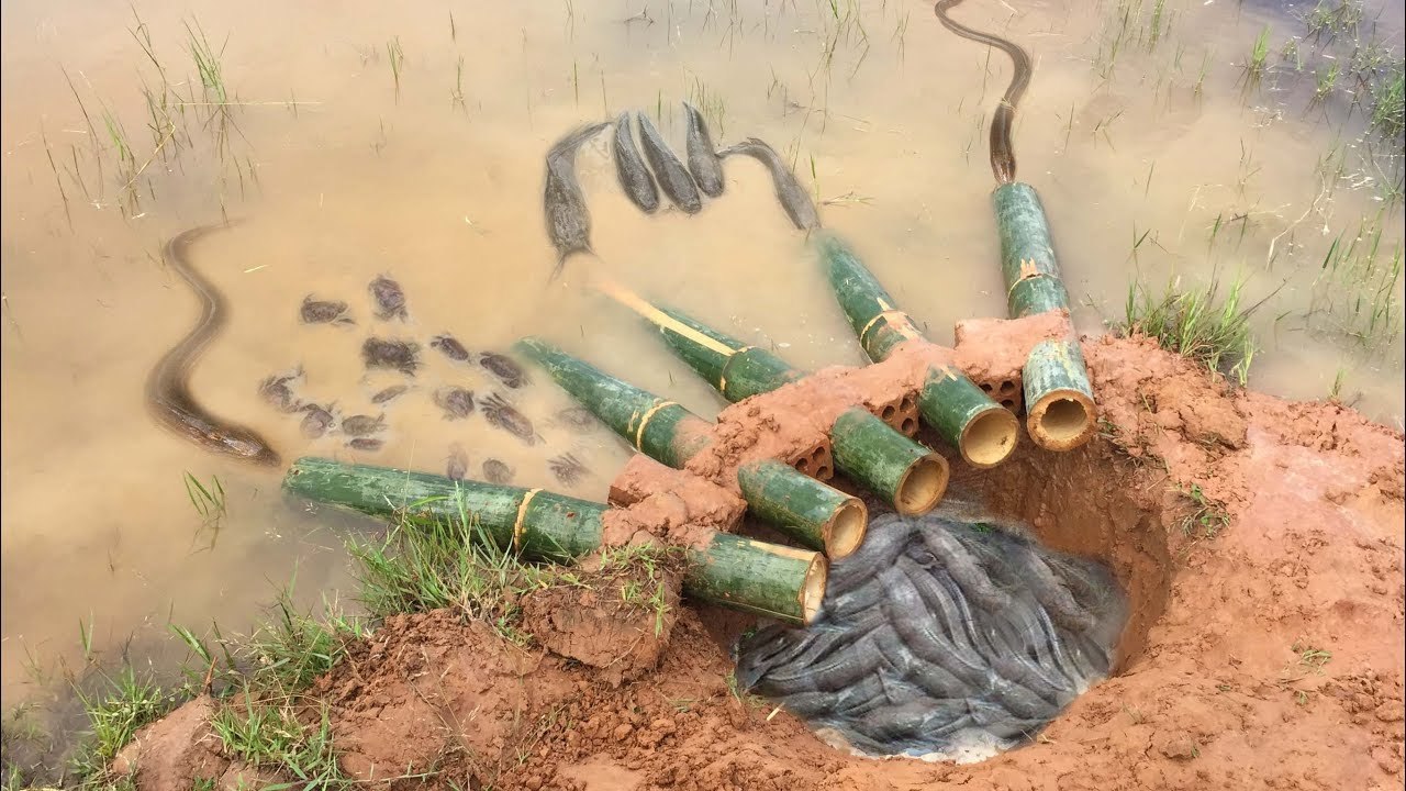 Amazing Fishing Trap in Cambodia 2017 -The first Trap Can Catch a lot of fish,Crabs,Eels By 5 Bambo