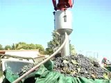 Benvenuta vendemmia 2008: siete pronti ad andar per cantine?