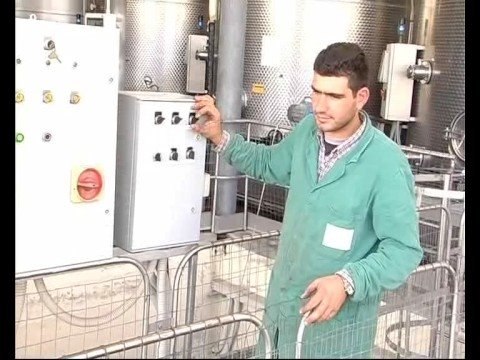 VENDEMMIA 2008. Il punto sulla campagna vitivinicola