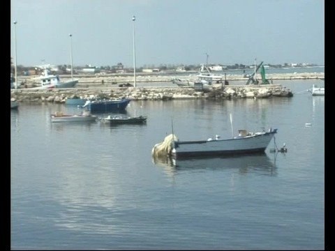Margherita di Savoia. No alle pale eoliche