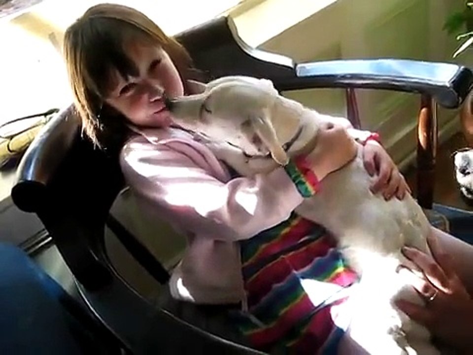 La réaction de cette chienne sauvée de l’euthanasie met vraiment du baume au cœur