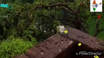 ojha funny  ⏰⏰♋♋⏰