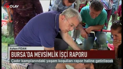 Bursa'da mevsimlik işçi raporu (Haber 05 08 2017)