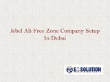 Advantages Of Jebel Ali Free Zone Company Setup In Dubai