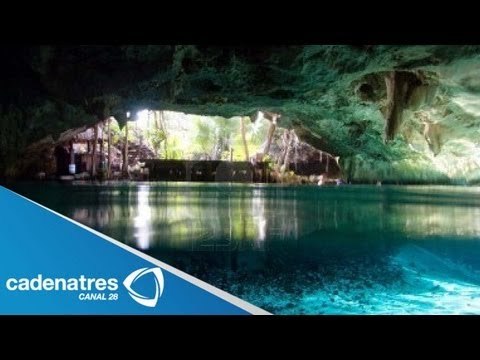 Cenotes de Yucatán son contaminados por las aguas negras de las granjas