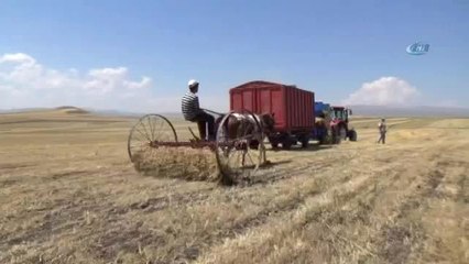 30 Derece Sıcağın Altında Ekmek Mücadelesi