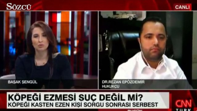 Köpeği ezen kişinin serbest bıraklımasını hukukçu Rezan Epözdemir değerlendirdi
