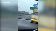 Motorcyclist pulls insane wheelies on busy highway