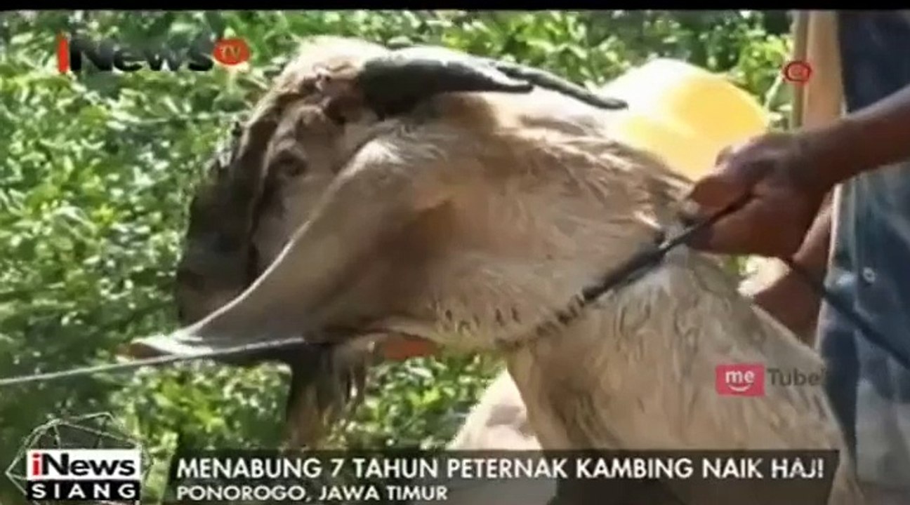 Peternak Kambing,,,