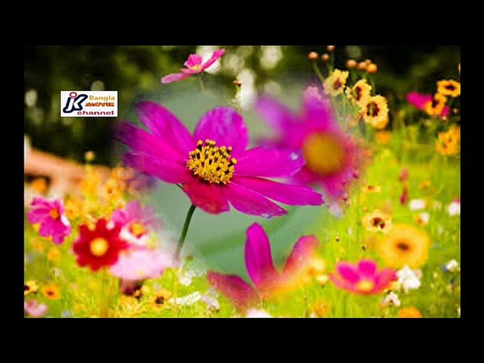 Baroti bochhor pore abar dekha holo dujone, Singer Shahnaz Rahmatullah