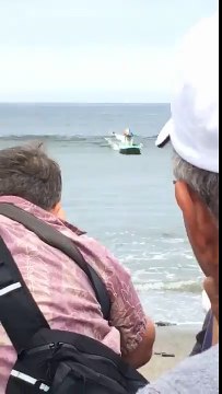 Deux chiens Surfers entrent en collision et finissent sur une seul planche !