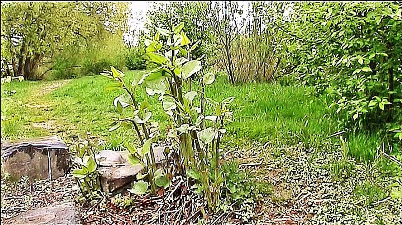 Am Fluss Aar entlang – 2