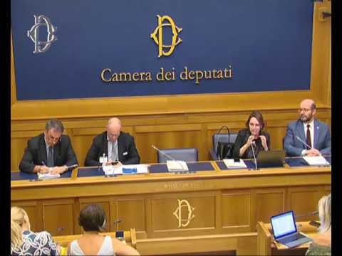 Roma - Conferenza stampa di Beatrice Lorenzin (24.07.17)