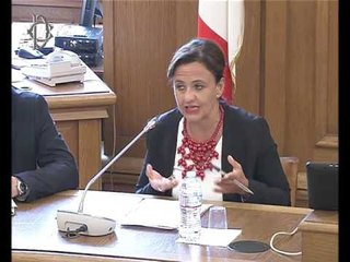 Roma - Audizione di associazioni di categoria (25.07.17)