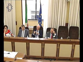 Roma  - Audizione del Viceministro Casero (25.07.17)