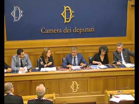 Roma - “Incendi boschivi” - Conferenza stampa di Pino Pisicchio (25.07.17)