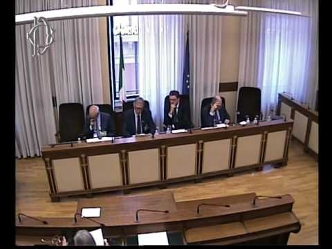 Roma - Distribuzione della ricchezza, audizione Presidente Istat (26.07.17)