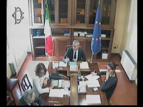 Roma - Audizione responsabile sistemi informativi Miur (27.07.17)