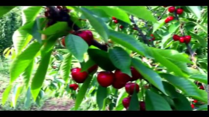 BİLECİK  HAKKINDA DUYMADIKLARINIZ BU VİDEO DA MUTLAKA İZLEYİN !!!