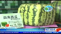 Sandías cuadradas: la nueva tendencia que está triunfando en Japón