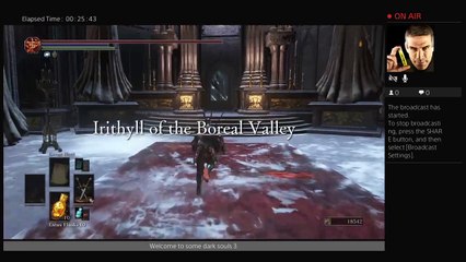 Dark souls 3 gank squad (6)